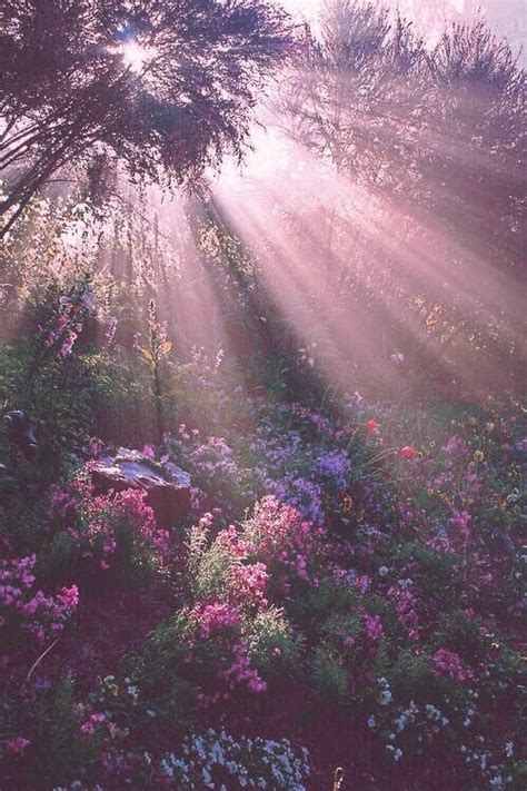 Pin By Cookie ♡ On Moody Nature Aesthetic Spring Aesthetic