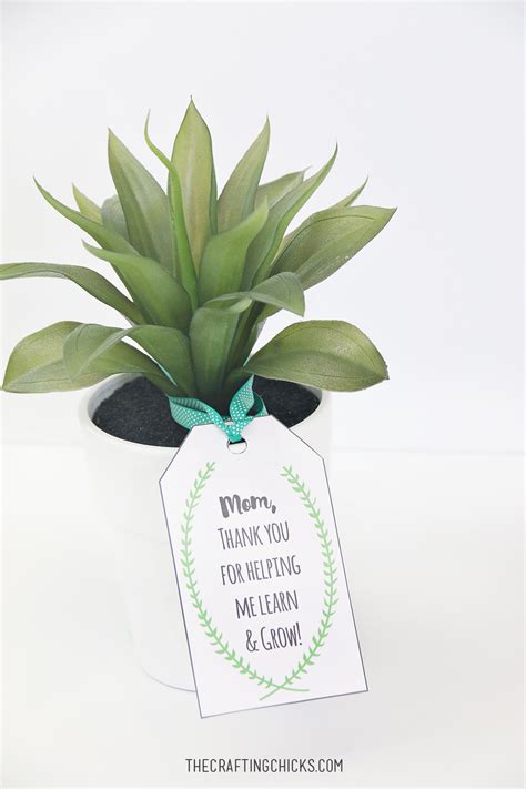Maybe you would like to learn more about one of these? Mother's Day Plant Printable Gift Tags - The Crafting Chicks
