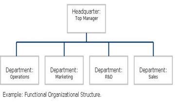 Organizational Structure Essay Telegraph