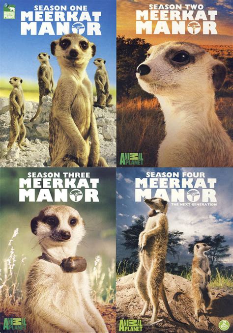 Meerkat Manor The Complete Series Bundle Boxset On Dvd Movie