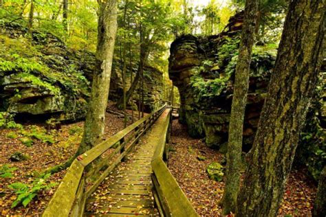 11 Totally Kid Friendly Hikes In West Virginia That Are 1 Mile And