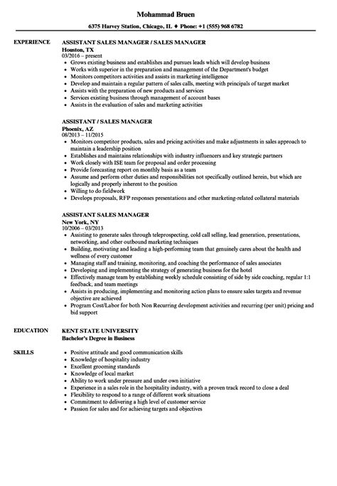 Link to a car sales resume resume: Assistant Manager Resume Objective - Mryn Ism