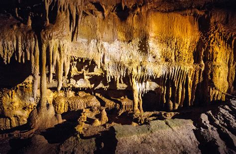The Complete Guide To Mammoth Cave National Park Lonely Planet