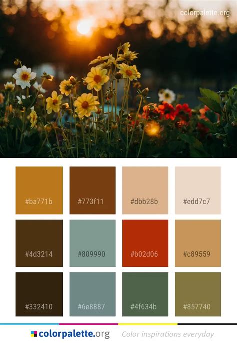 Flower Yellow Wildflower Color Palette