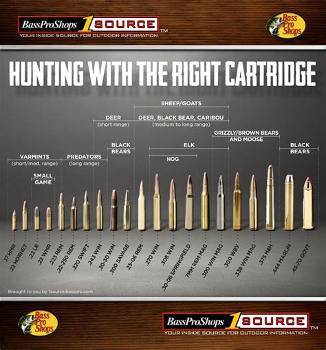 Rifles Calibers For Hunting Animals Hog Hunting Boar Hunting Deer
