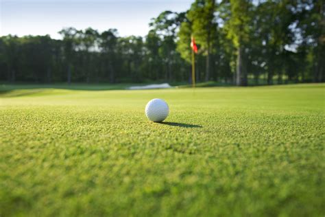 What To Consider When Designing A Residential Putting Green Personal
