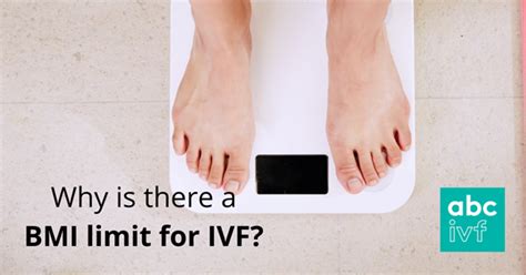 Why Is There A Bmi Limit For Ivf Ivf Blog Abc Ivf