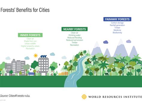 How Forests Near And Far Benefit People In Cities Thecityfix