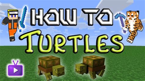 Minecraft How To Mo Creatures Taming Turtles Youtube