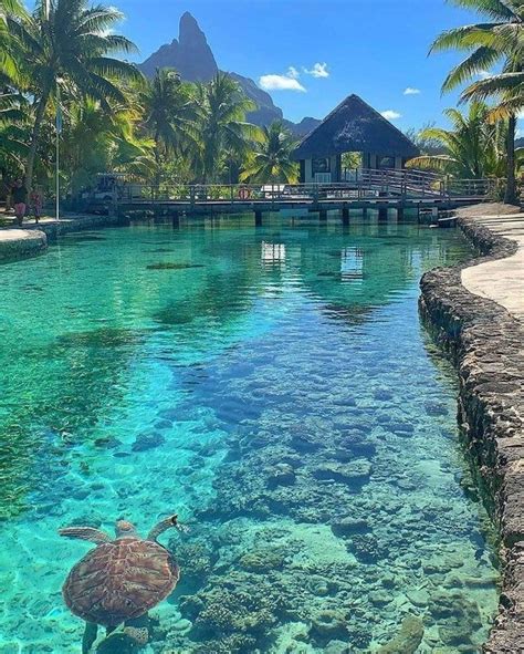 Bora Bora Island BeAmazed Cool Places To Visit Vacation Places