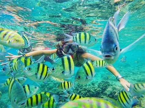 Kawasan mandeh'in fotoğraflarını görmek için giriş yap veya bir hesap oluştur. No.telp Kawasan Mande / Aselinya sih banyak sekali tempat wisata di kawasan mandeh sumatera ...