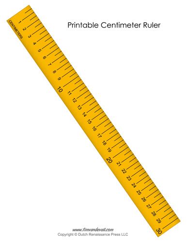 Exceptional Printable Ruler Inches And Centimeters Katrina Blog Here