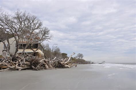 Hunting island camping is perfect for those wanting to experience a coastal wilderness. Hunting Island Cabin Photograph by Jennifer Milbert