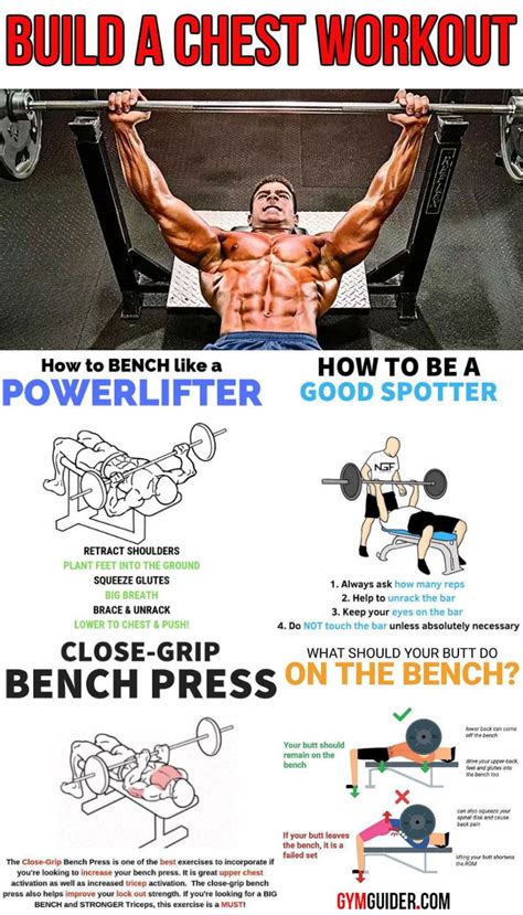 Bench Press Programme For Ultimate Strength And Size Gains Gymguider