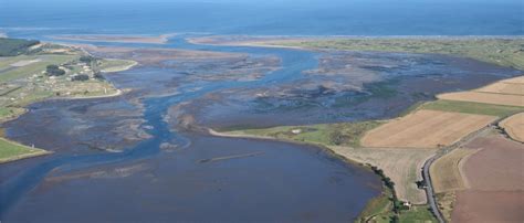 How Does Agricultural Pollution Affect Estuarine Health In The United
