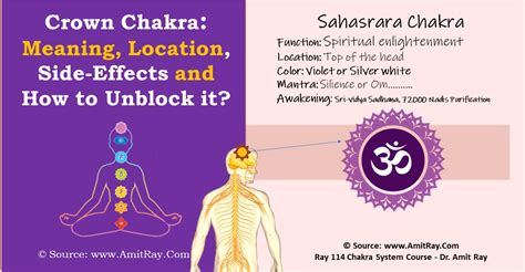What Is The Crown Chakra Meaning Location Side Effects And How To Unblock It Sri Amit Ray