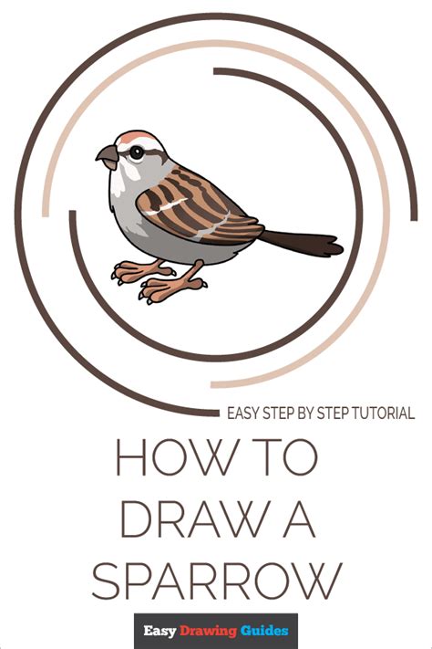 Bird pencil drawing drawing animals sketching. How to Draw a Sparrow - Really Easy Drawing Tutorial