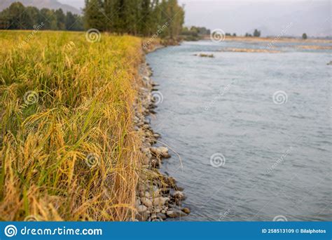 Water Runoff On The Rice Fields And Soil Erosion Alone The River Bank