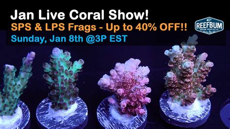 Reefbums January 2023 Live Coral Sale Youtube
