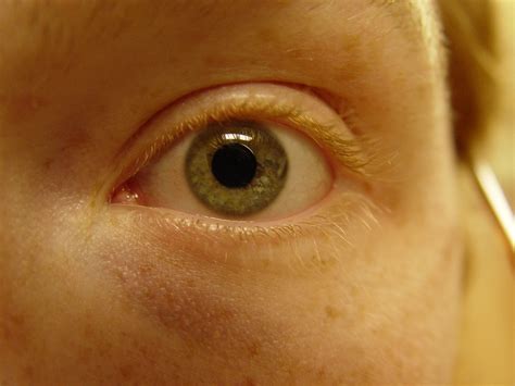 eye | Pics4Learning