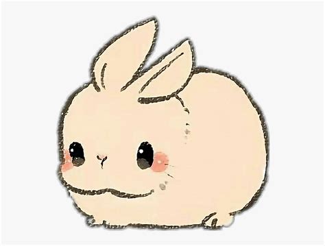 Rabbit Rabit Animal Pet Kawaii Cute Cute Baby Bunny Drawing Hd Png