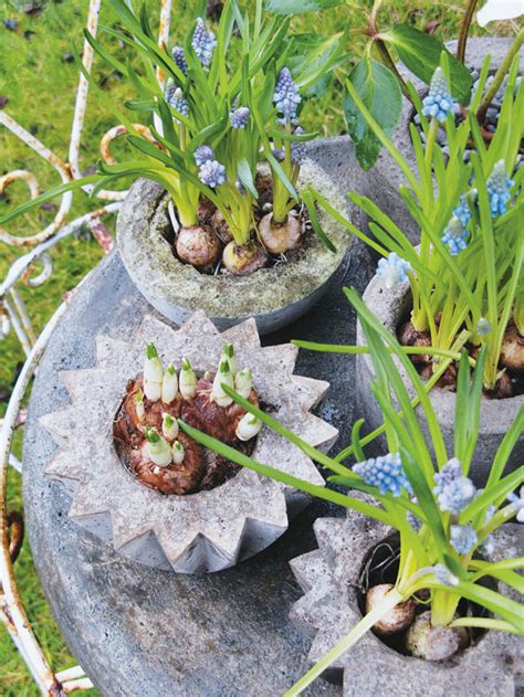 Viva Cindy: DIY: Cement Planters