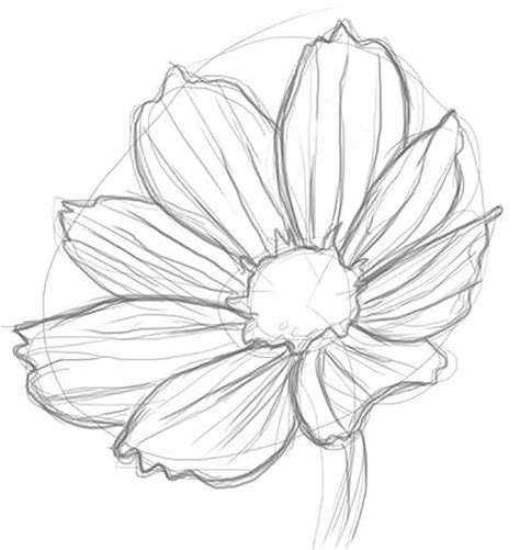Realistic Flower Drawing Flower Drawing Tutorials Flower Line Drawings
