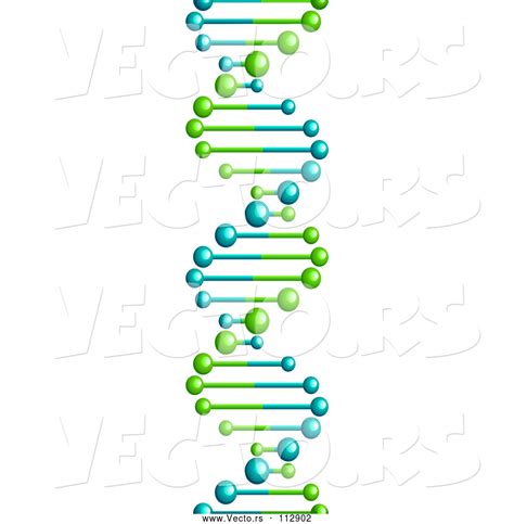 Vector Of 3d Lime Green And Blue Dna Double Helix Cloning Strand By