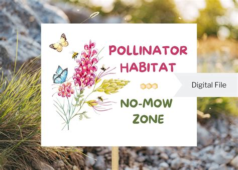No Mow Zone Printable Sign • Instant Download Bee Butterfly Floral