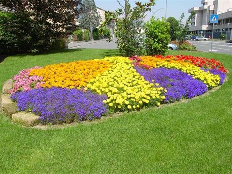 In altri casi, il nome evoca la bellezza della pianta, la forma esistono nomi di fiori che ci danno indicazioni sull'aspetto della pianta, il momento della fioritura o le. Fiori gialli nomi - Piante perenni - Nomi dei fiori gialli