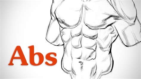 How To Draw Abs Anatomy Youtube