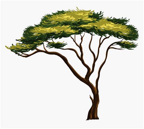 Divine Tips About How To Draw A Savannah Tree Engineestate