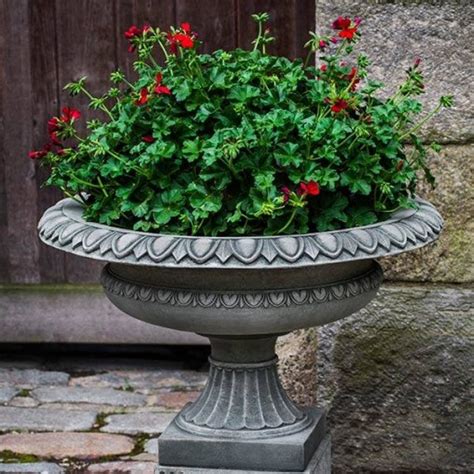 Maybe you would like to learn more about one of these? Flowers and Plants | Buy Online | Gift | Lahore | Pakistan