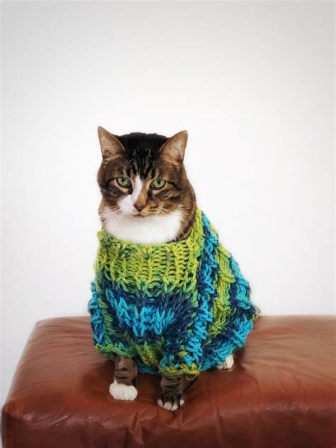 Chunky Knit Sweater For Cat Oversized Cat Sweater Blue Green Etsy
