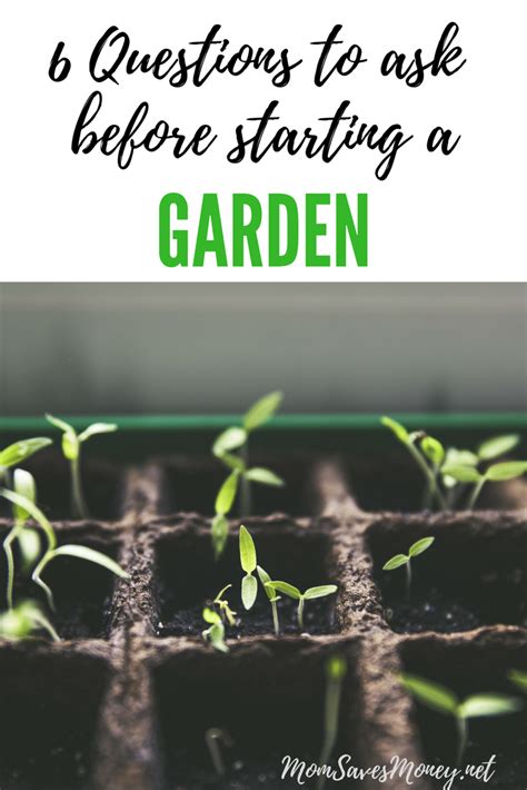 6 Things To Consider Before Starting A Garden Mom Saves Money