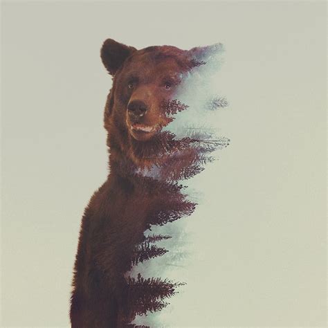 Stunning Double Exposure Of Animals By Andreas Lie