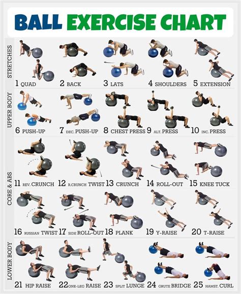 Printable Ball Exercise Chart Workout Chart Ball Exercises