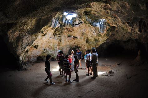 Visitaruba Com Beach Cave Tour Pelican Adventures
