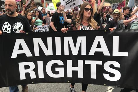 11 Animal Rights In 2020 Hindsight The Vegan Blog