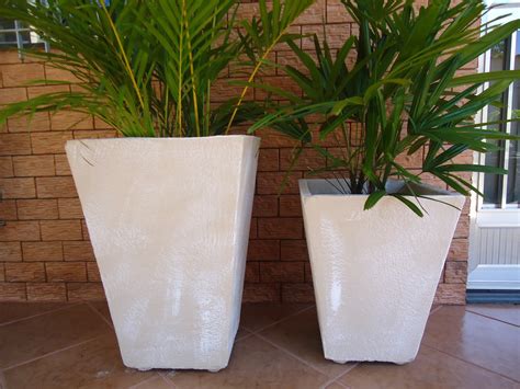 Escolha O Vaso Certo Para Suas Plantas Que Tipo De Vaso Usar Para Cada