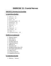 Ryk Urk Exercise Cranial Nerves Reviewing Your Knowledge Using
