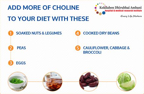 Choline An Essential Nutrient For Public Health Health Tips From