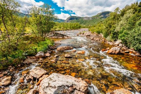 Norway Nature Cold Water Mountain River Stock Image Image Of Pure