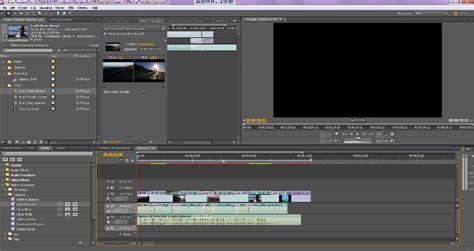 You can edit virtually any type of media in its native format and create professional productions with brilliant colors for film, tv, and web. Adobe Premiere Pro: Lots More than Elements; No Windows 8 ...