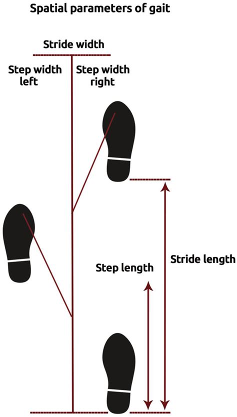 Jcm Free Full Text Stride Length Predicts Adverse Clinical Events
