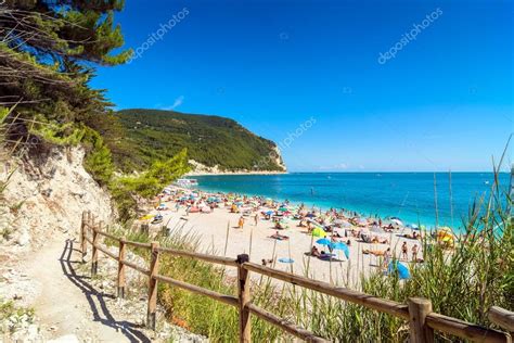 Nel parco si possono trovare diverse specie di uccelli come le gallinelle d'acqua, germano reale, poiane, gabbiani, animali come scoiattoli, cinghiali, tassi. Sirolo strand im conero nationalpark, italien ...