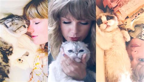 What Are Taylor Swifts Cats Names Ellery Apples Blog