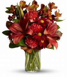 Spirea is a flower business in louisville, kentucky. Schmitt's Florist Louisville, Kentucky (KY) :: Flowers ...