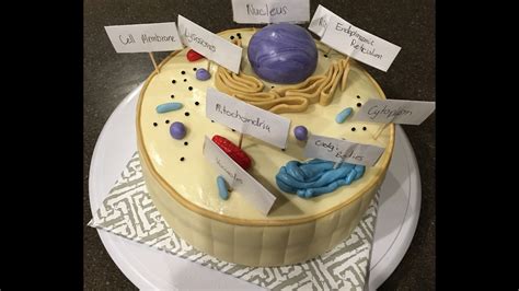 Making An Animal Cell Model Using Cake And Fondant Great For School