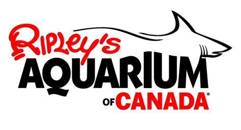 Original file at image/png format. Ripley's Aquarium of Canada | Attractions Directory